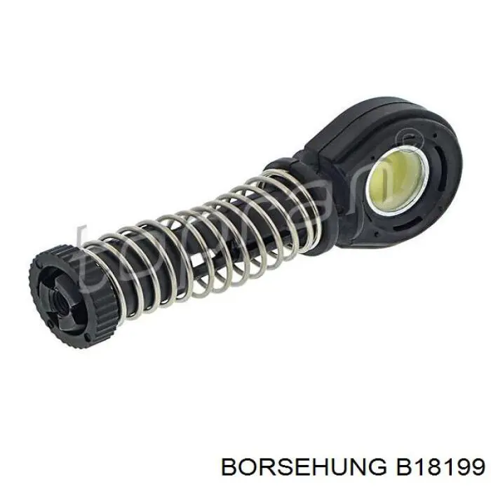 B18199 Borsehung