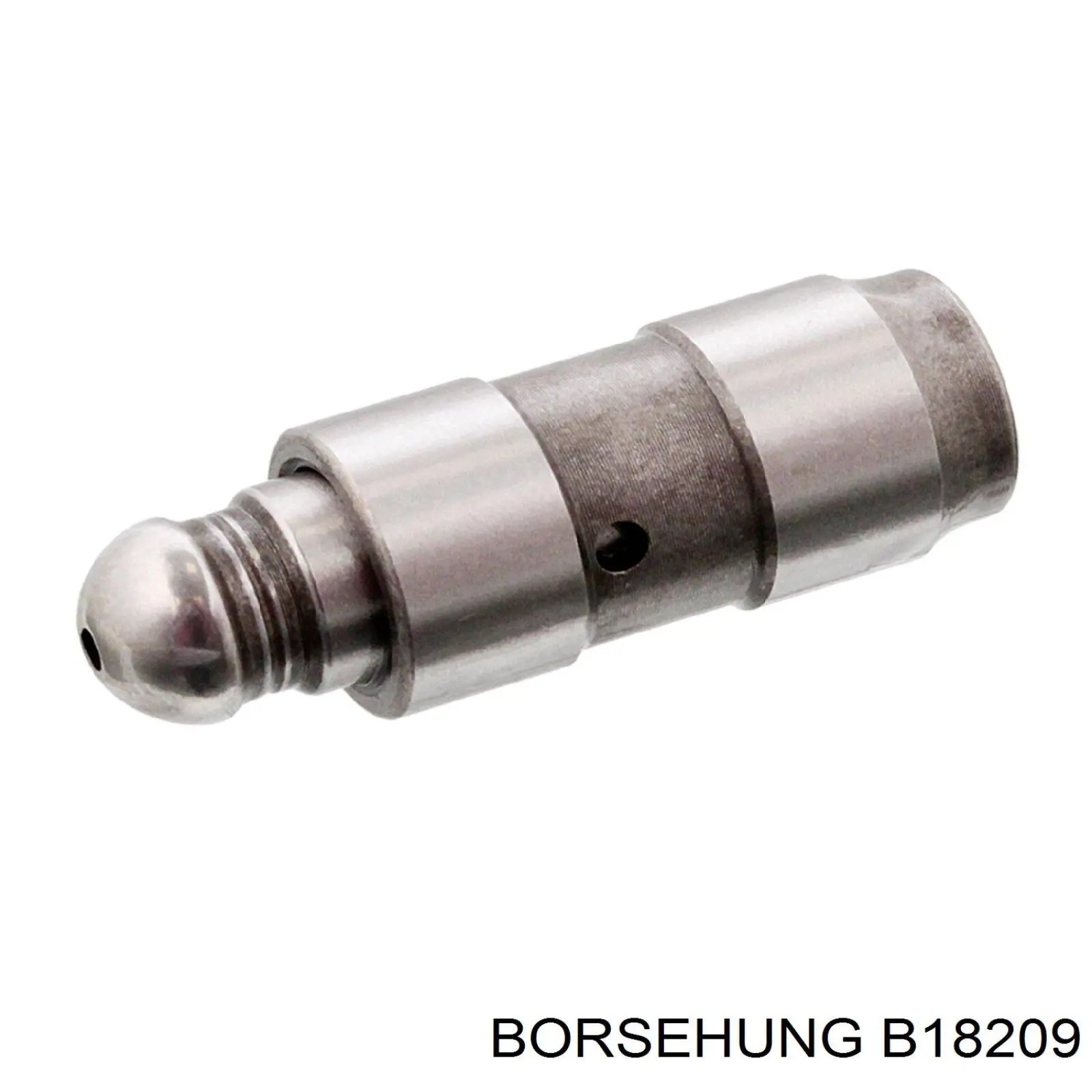 B18209 Borsehung