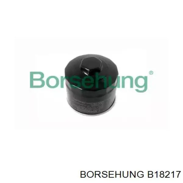 B18217 Borsehung