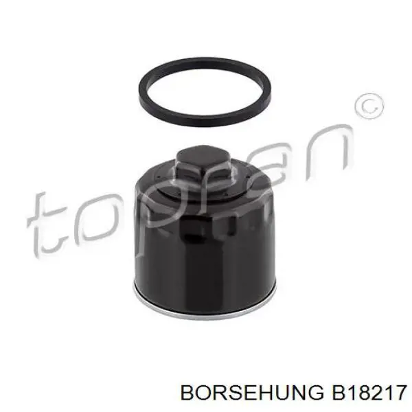 Купить B18217 Borsehung Фильтр центробежный очистки масла
