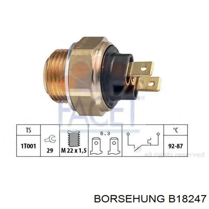 Termostato B18247 Borsehung