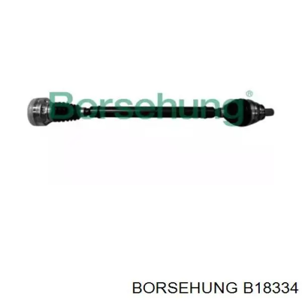 B18334 Borsehung 