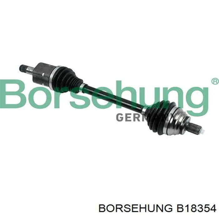 B18354 Borsehung