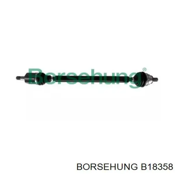  B18358 Borsehung