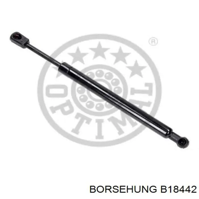 Амортизатор задней двери Borsehung B18442 цена, от 8.22 USD