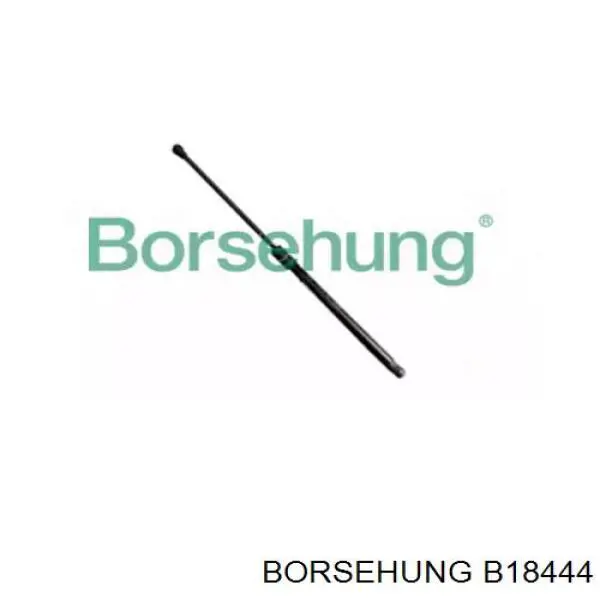 B18444 Borsehung amortecedor de tampa de porta-malas (de 3ª/5ª porta traseira)