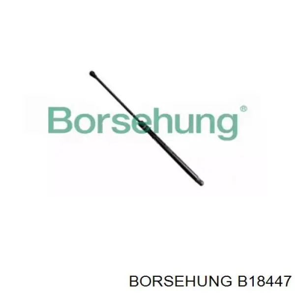 B18447 Borsehung amortecedor de tampa de porta-malas (de 3ª/5ª porta traseira)