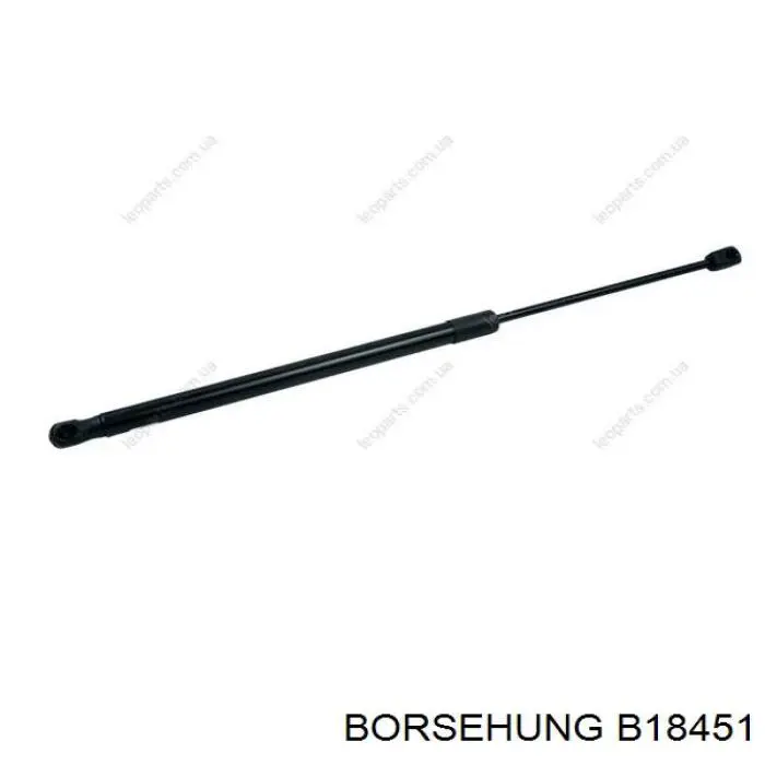 Купить B18451 Borsehung Амортизатор под капот