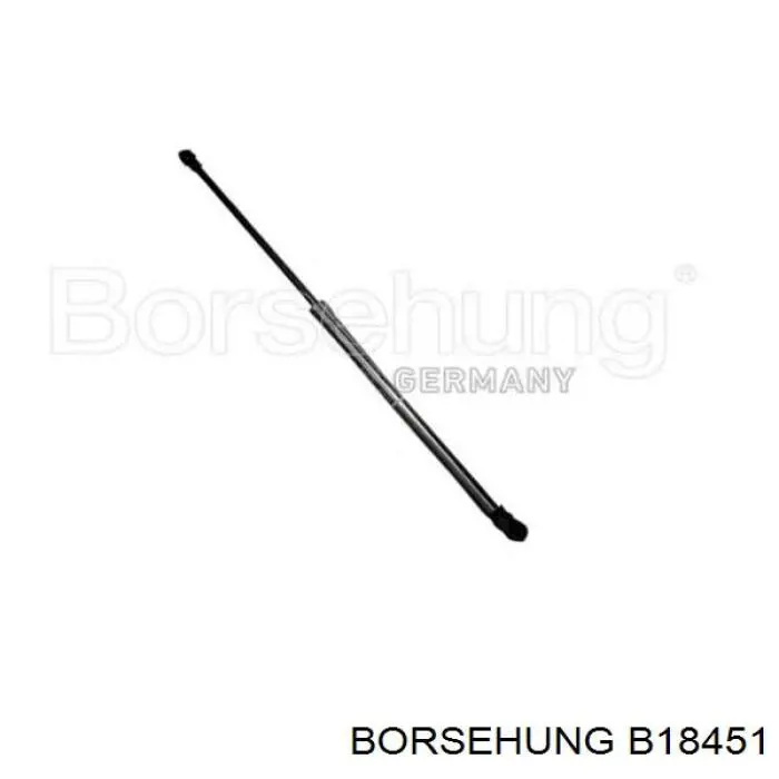 Амортизатор капота газовый Borsehung B18451 цена, от 16.37 USD
