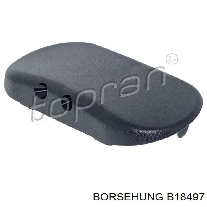 B18497 Borsehung