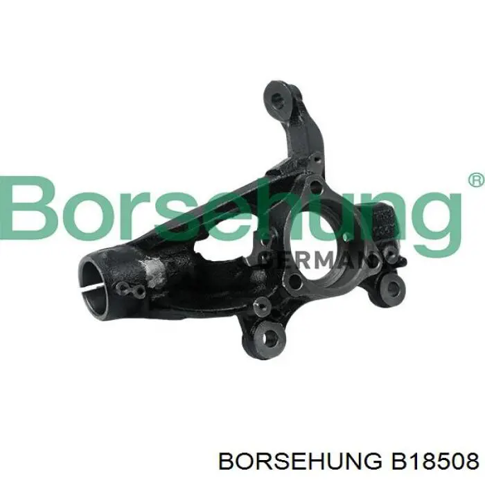 B18508 Borsehung цапфа (поворотный кулак передний левый)