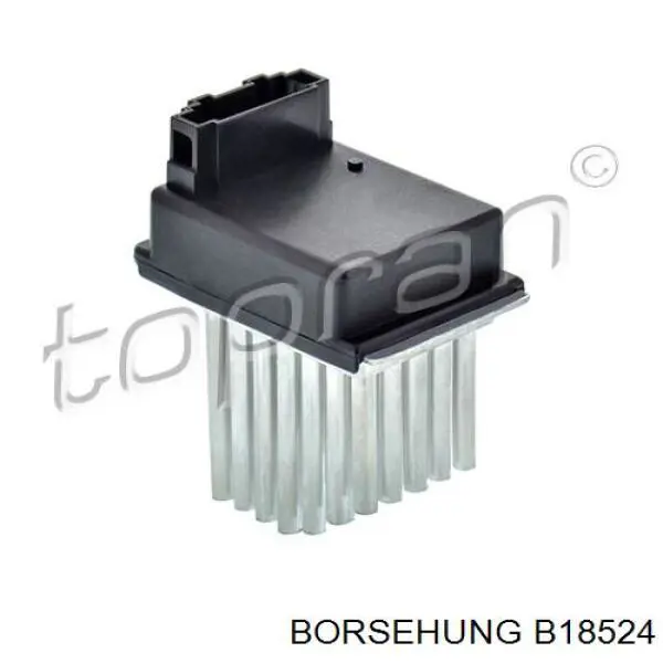 B18524 Borsehung