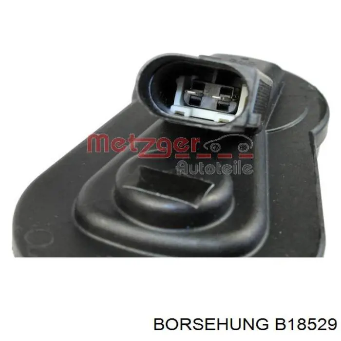 B18529 Borsehung