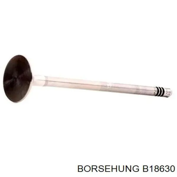 Выпускной клапан B18630 Borsehung