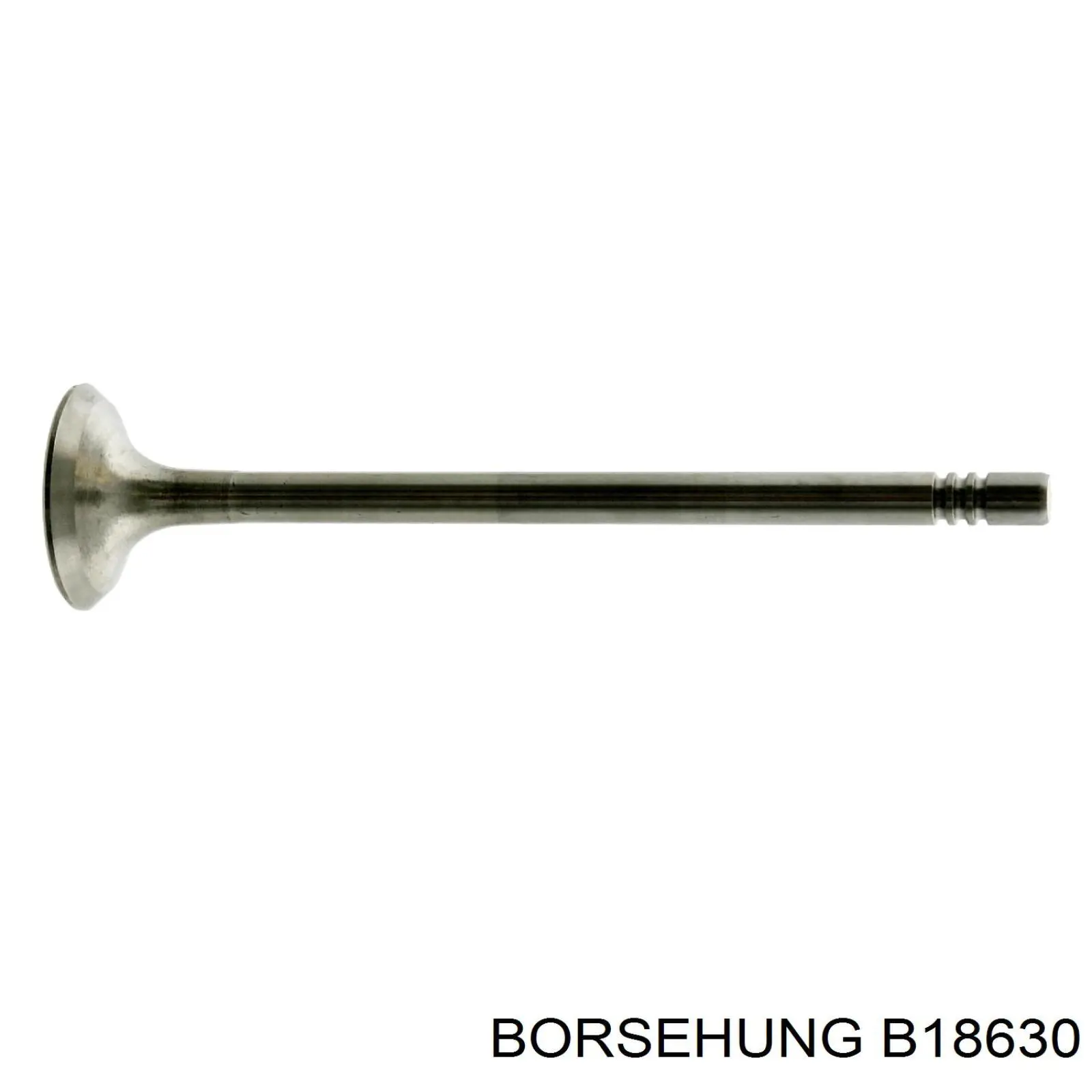 Válvula de escape B18630 Borsehung