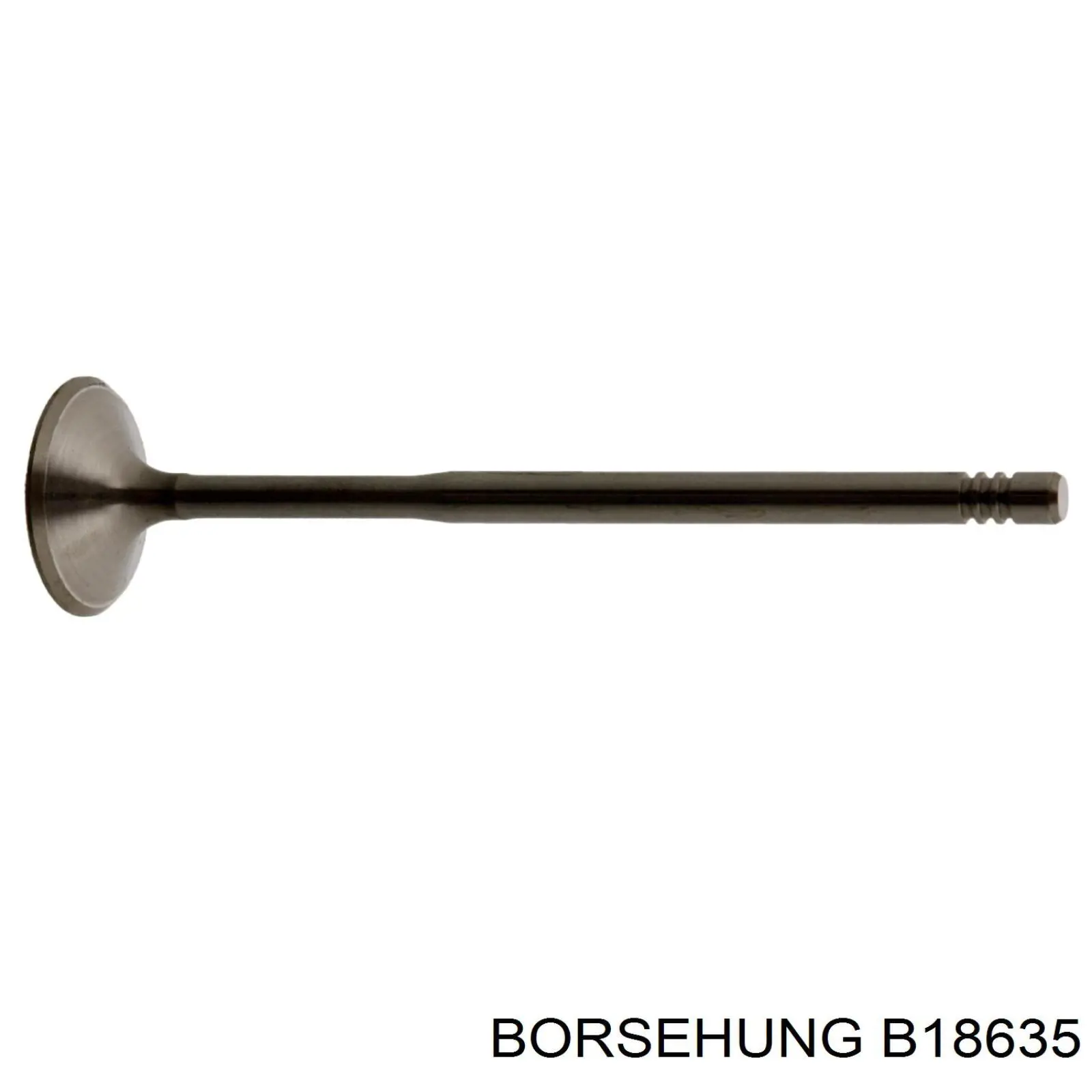 Впускной клапан B18635 Borsehung