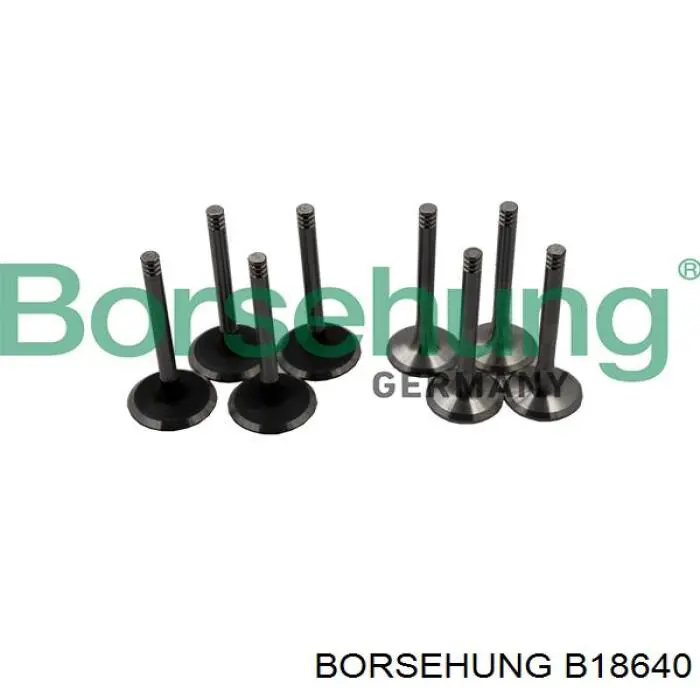 B18640 Borsehung впускной клапан