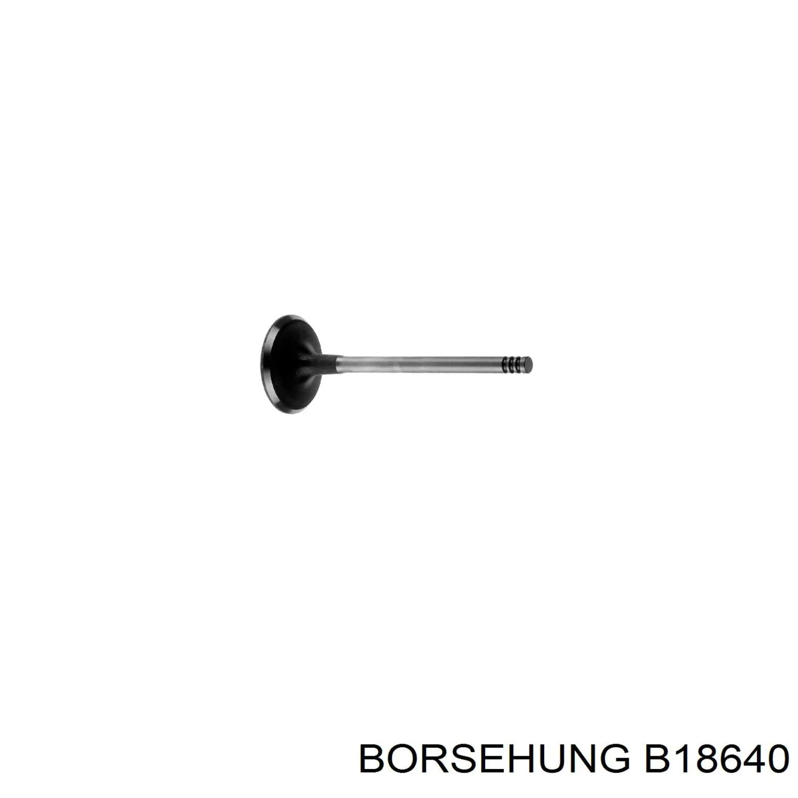B18640 Borsehung