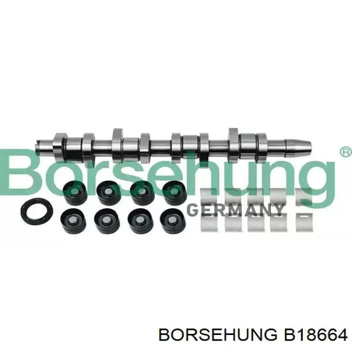 Распредвал двигателя, комплект Borsehung B18664 цена, от 237.70 USD