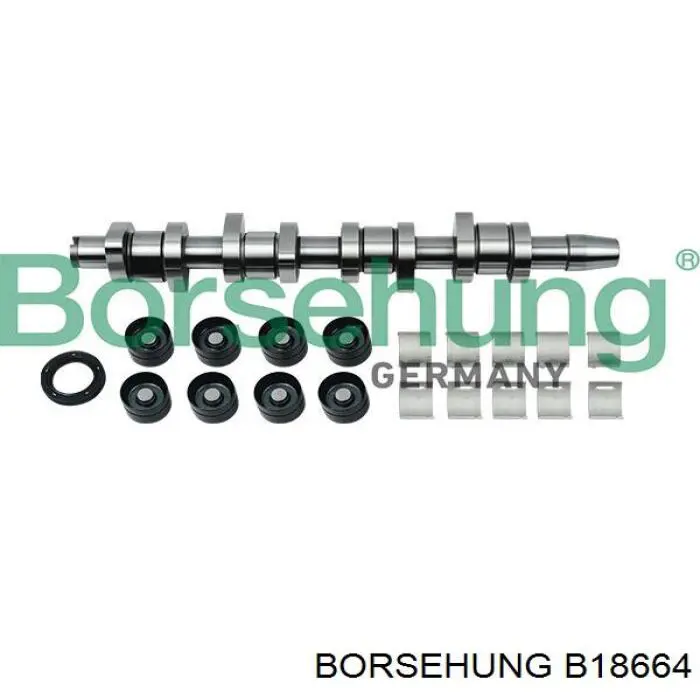 Купить B18664 Borsehung Распредвал двигателя, комплект