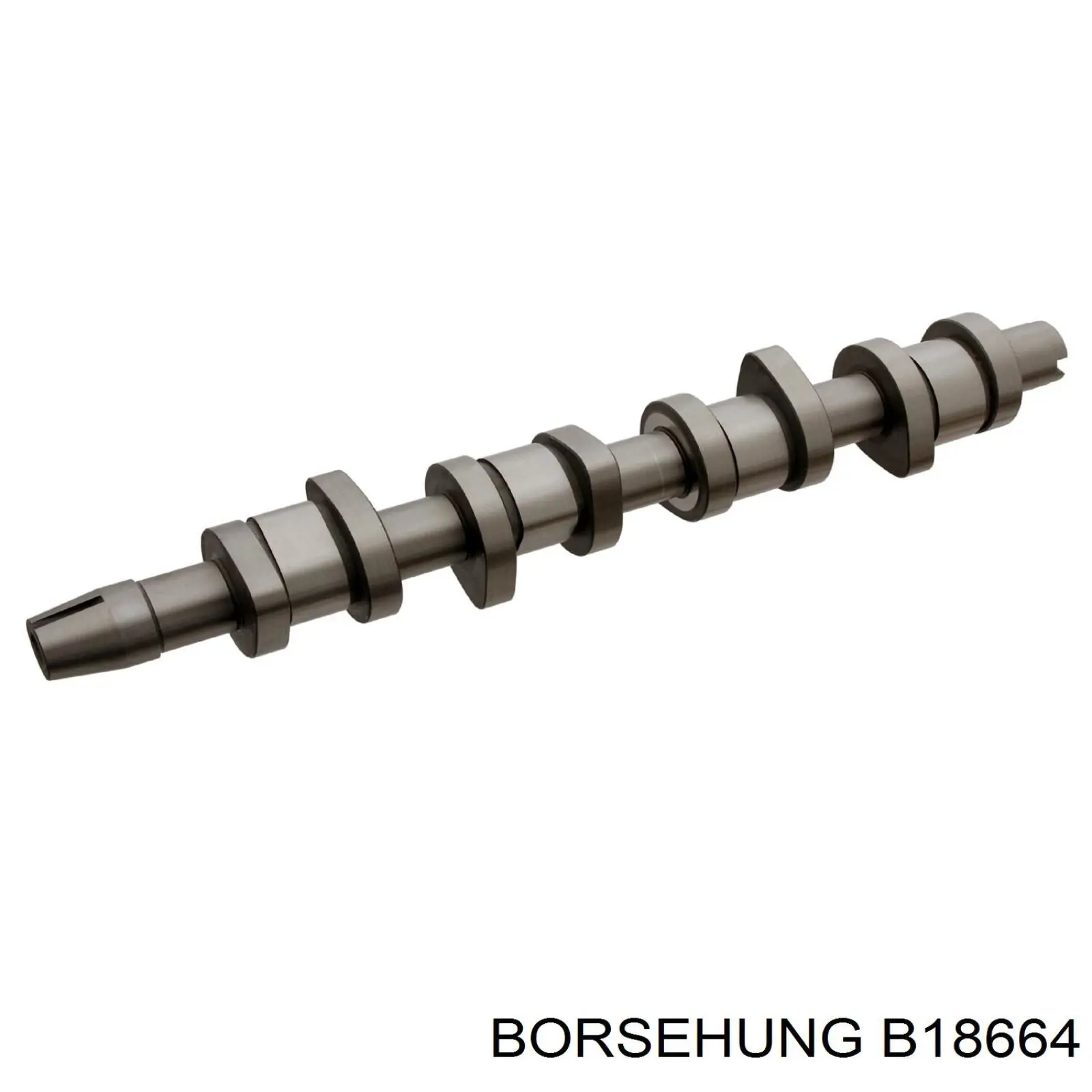 B18664 Borsehung 