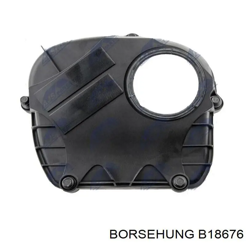 B18676 Borsehung