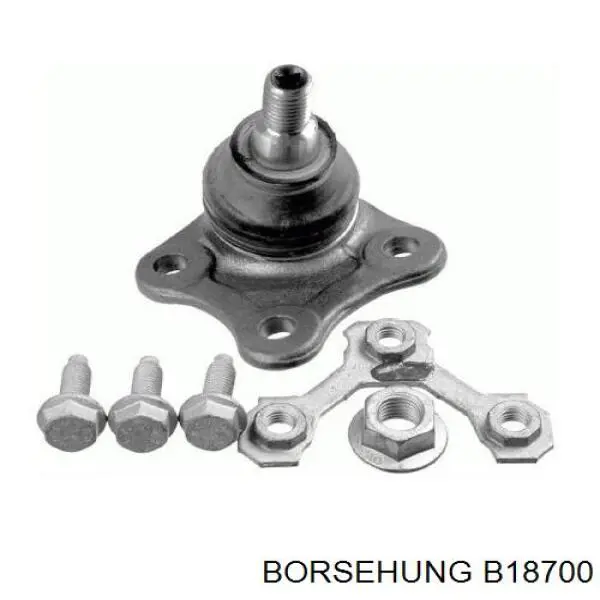 B18700 Borsehung