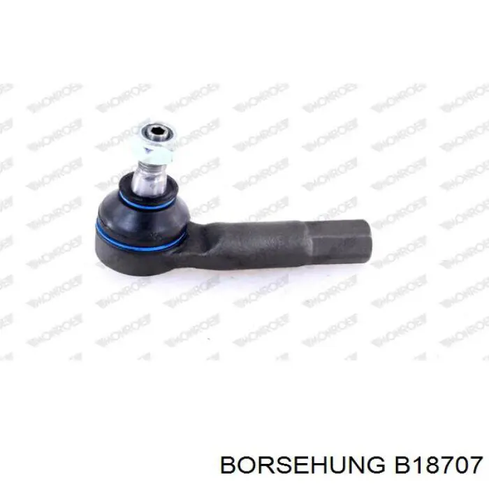 B18707 Borsehung