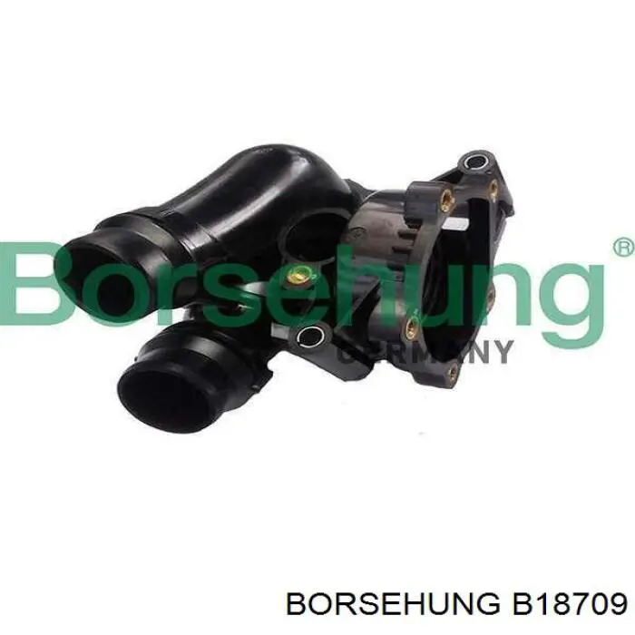 B18709 Borsehung