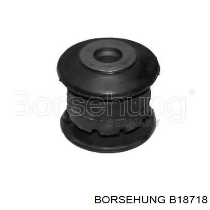 B18718 Borsehung