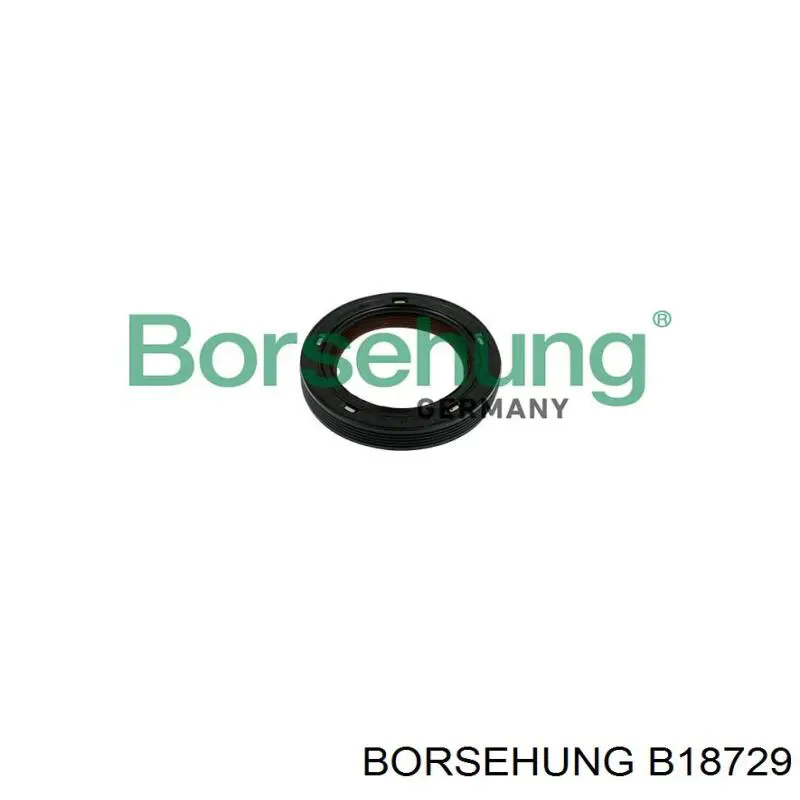 B18729 Borsehung