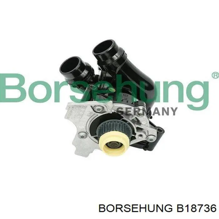 B18736 Borsehung