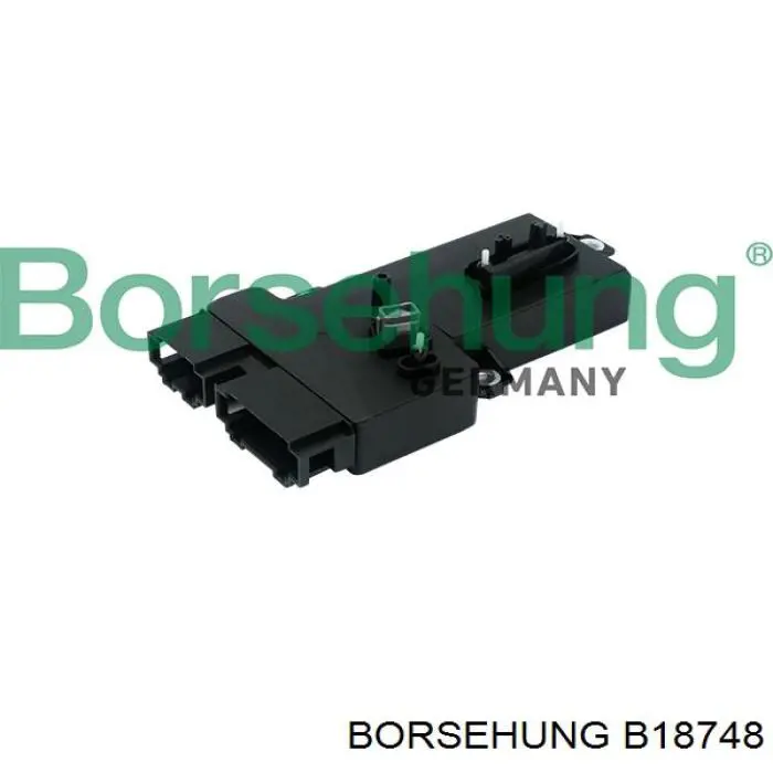 B18748 Borsehung 