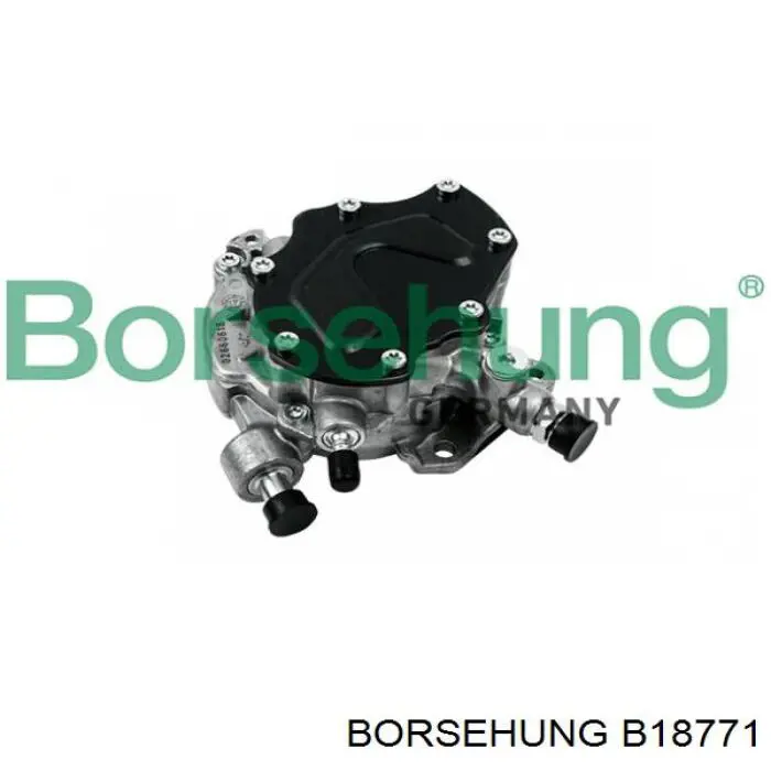 B18771 Borsehung bomba de combustível de tandem