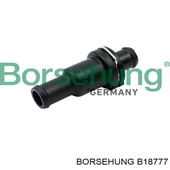 B18777 Borsehung