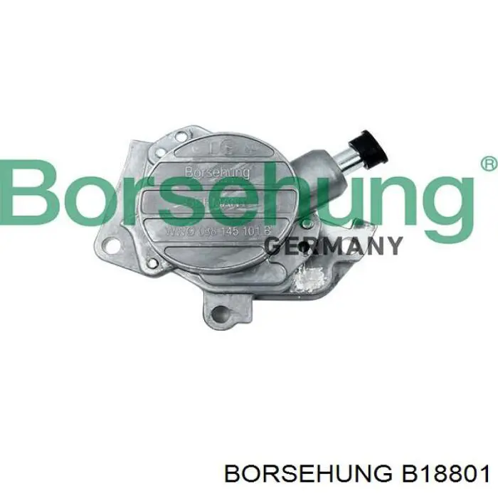 B18801 Borsehung