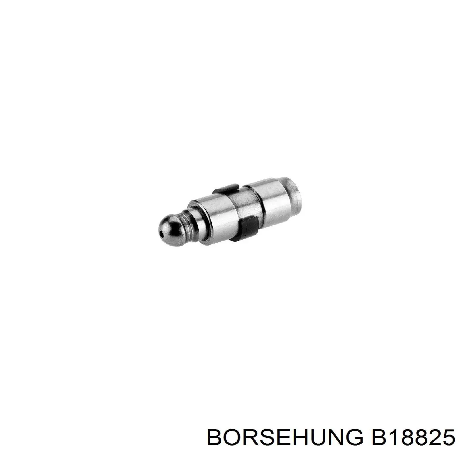 B18825 Borsehung