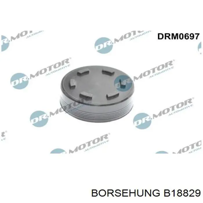 Купить B18829 Borsehung Коромысло клапана, рокер