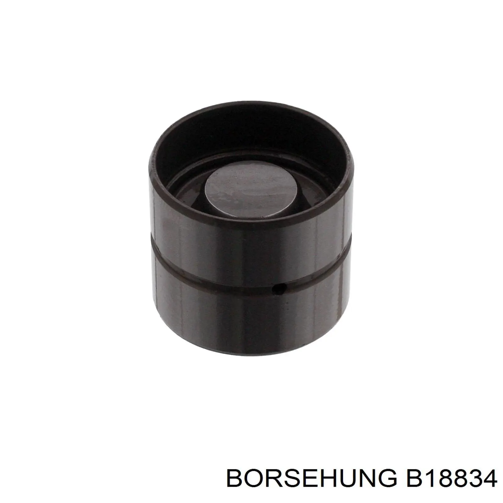 B18834 Borsehung гидрокомпенсатор (гидротолкатель, толкатель клапанов)