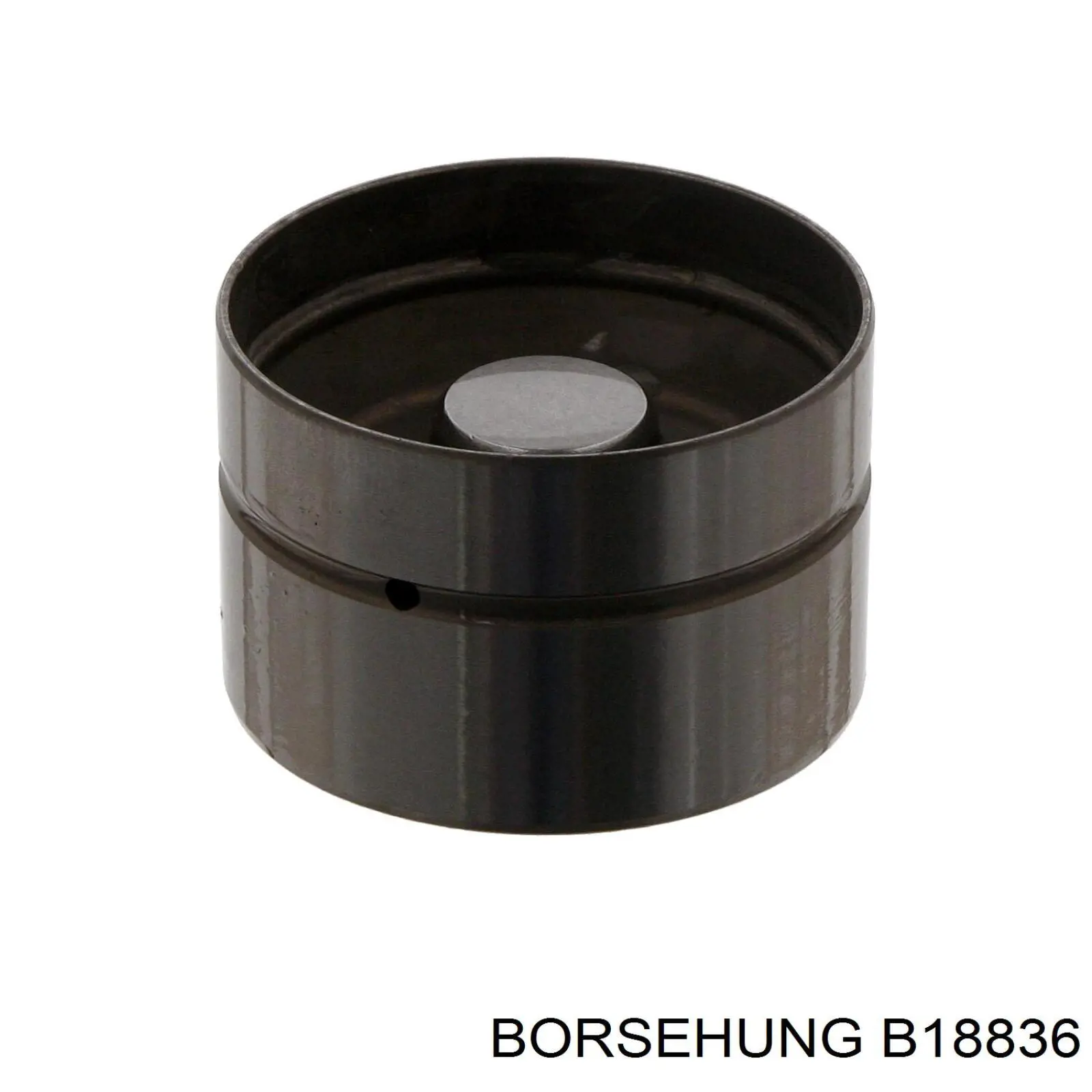B18836 Borsehung гидрокомпенсатор (гидротолкатель, толкатель клапанов)