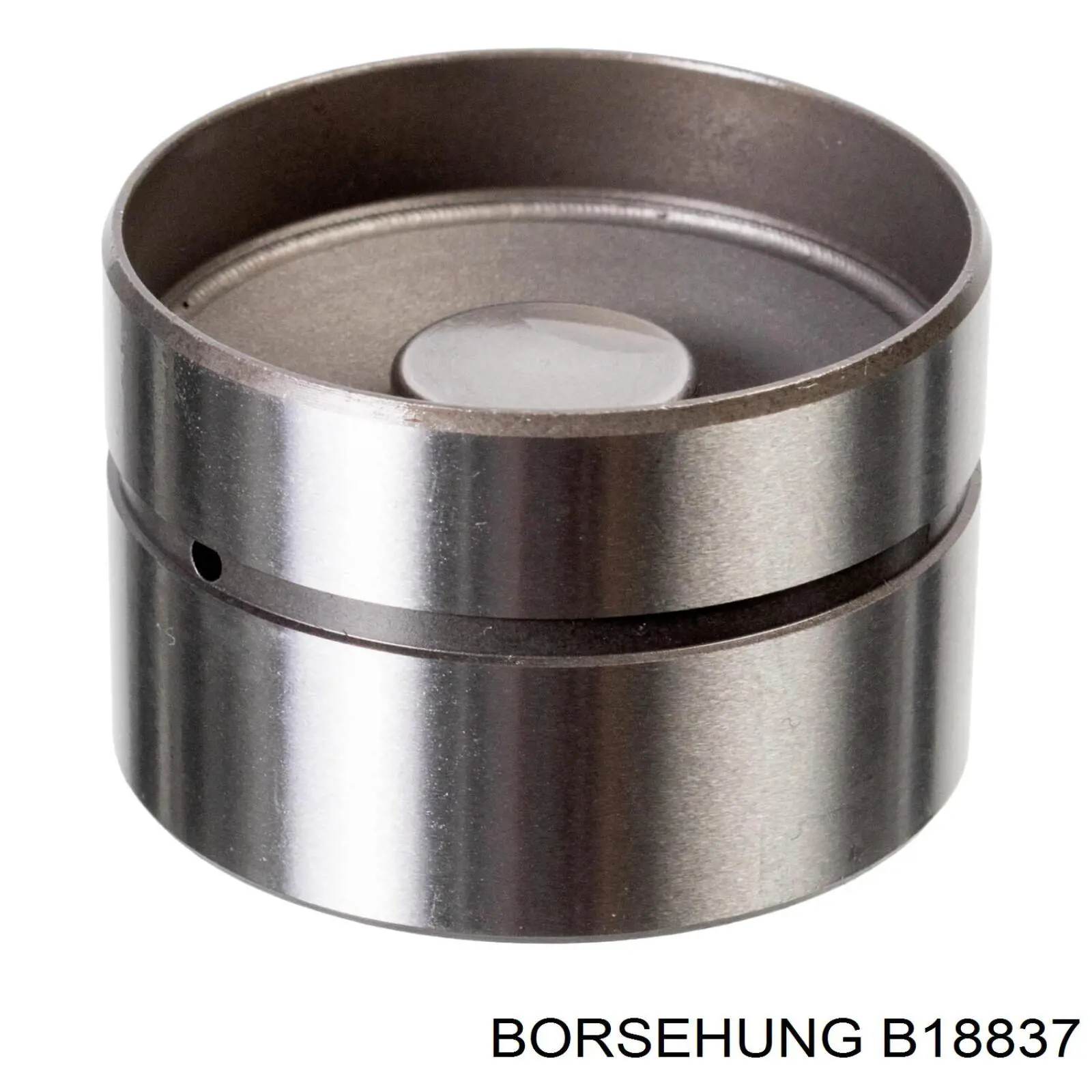 Толкатель клапана гидравлический Borsehung B18837 цена, от 5.40 USD