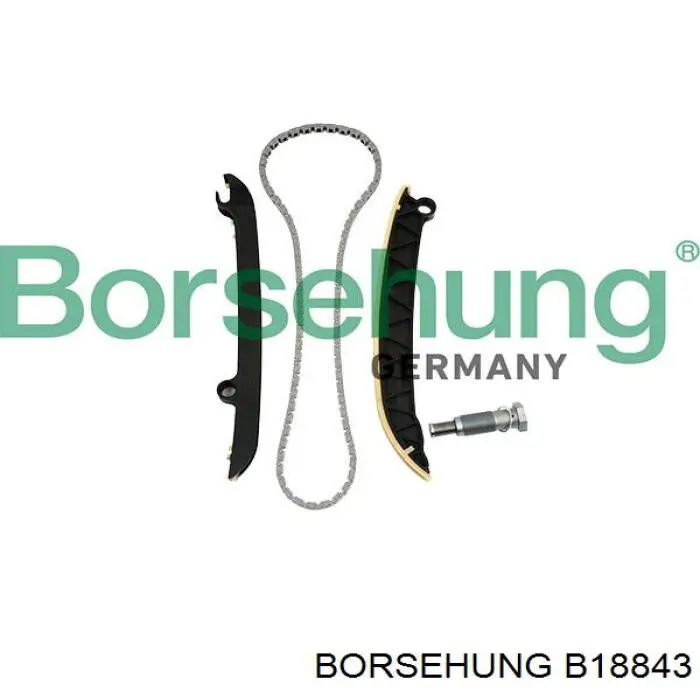 B18843 Borsehung cadeia do mecanismo de distribuição de gás, kit