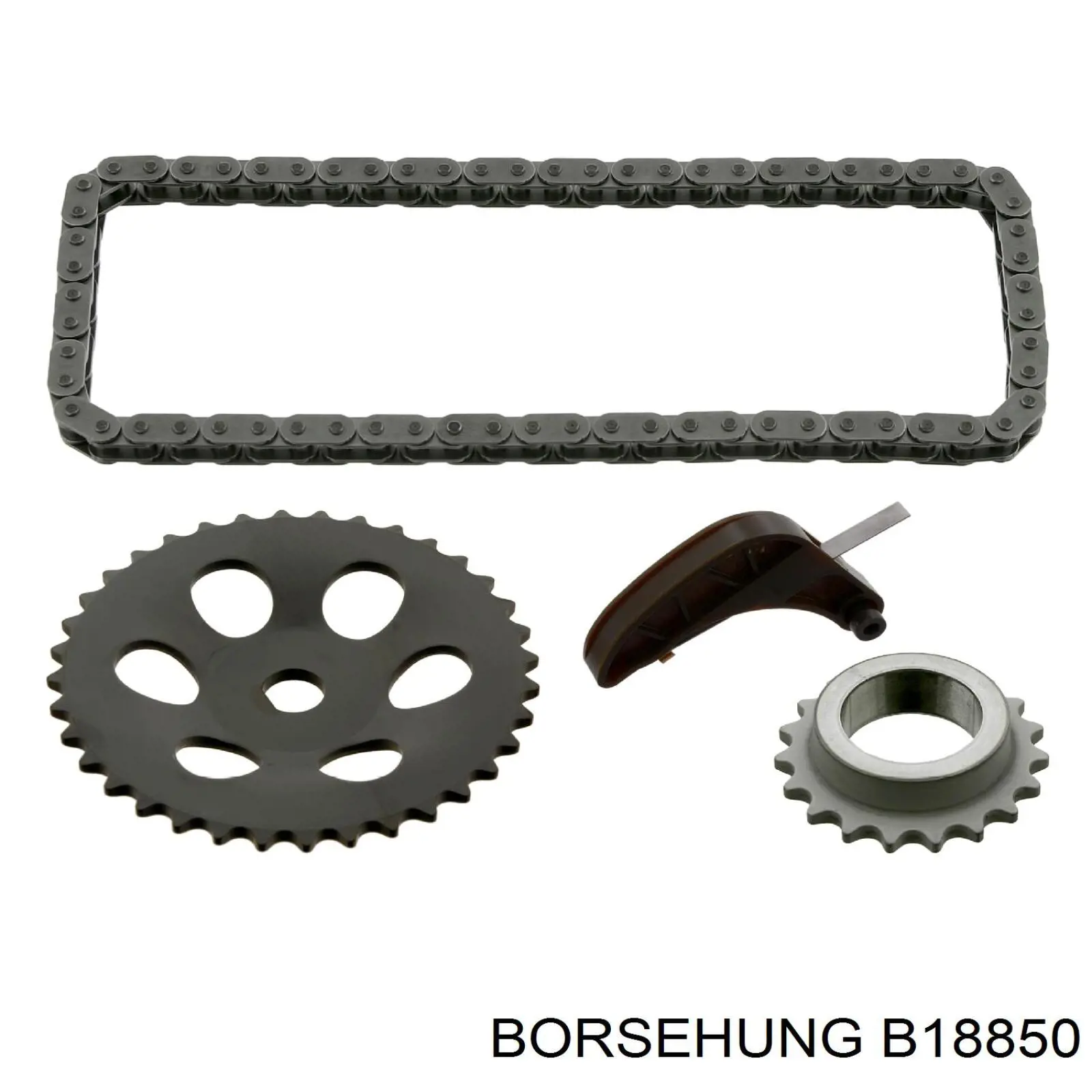 Цепь масляного насоса, комплект Borsehung B18850 цена, от 19.40 USD