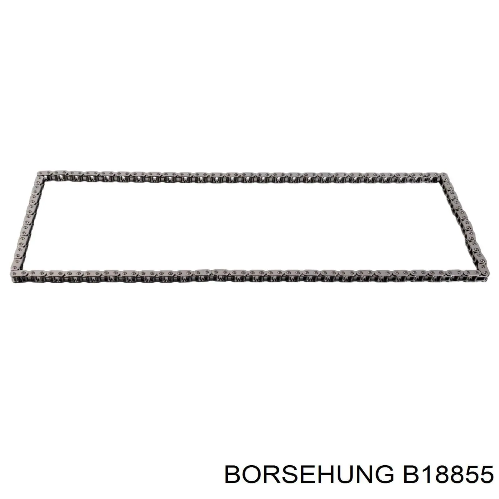 B18855 Borsehung