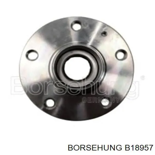 Купить B18957 Borsehung Ступица переднего колеса