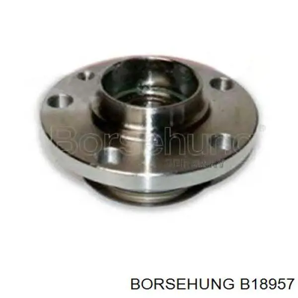 Передняя ступица B18957 Borsehung
