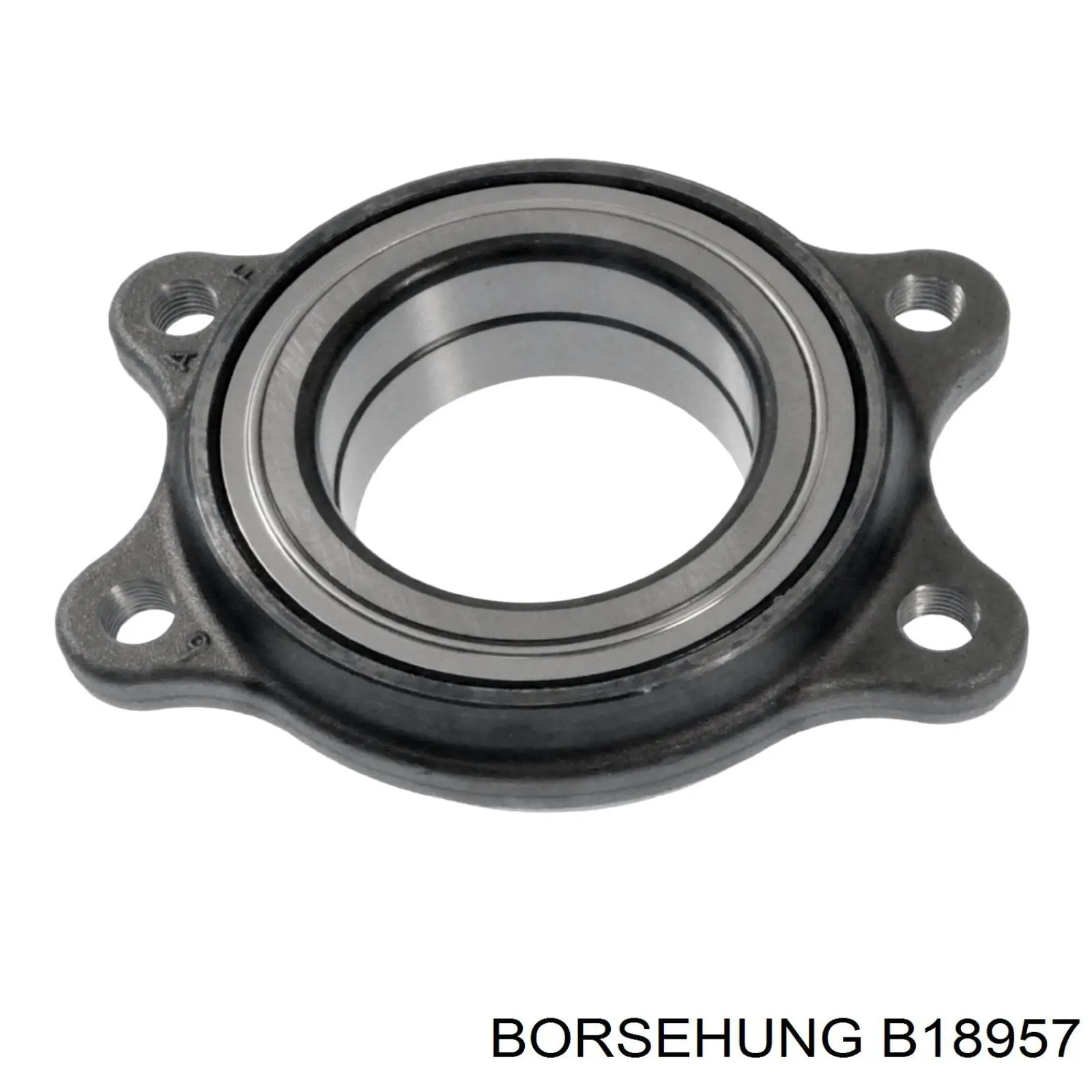 B18957 Borsehung