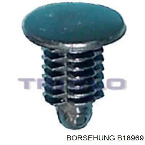 B18969 Borsehung