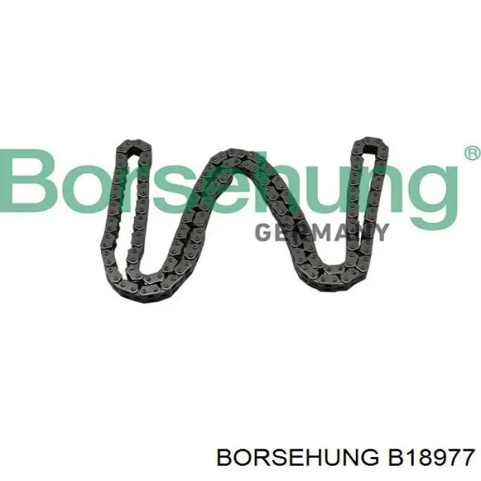 B18977 Borsehung cadeia do mecanismo de distribuição de gás, kit