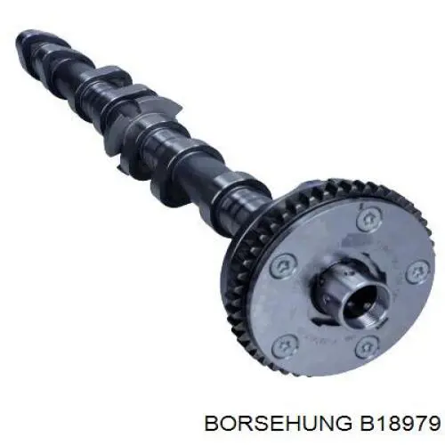 B18979 Borsehung